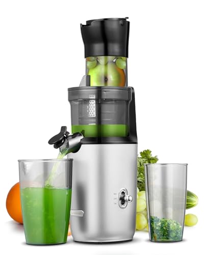 Amzchef Ganzfrucht Entsafter 80mm Gro E Ffnung Slow