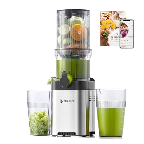 Amzchef Entsafter Slow Juicer Mit 120mm Breite Und