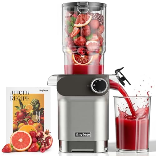 Anybear Entsafter 200w Slow Juicer Mit 110 Mm