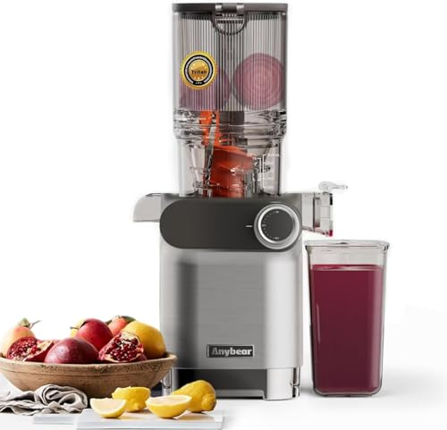 Anybear Entsafter 200w Slow Juicer Kaltentsafter Mit 110