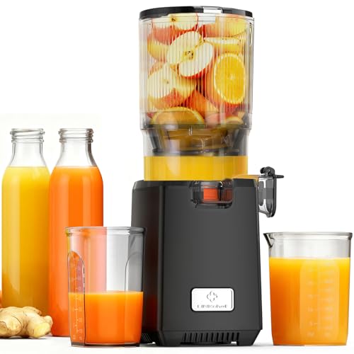 Linkchef Entsafter Slow Juicer Entsafter Gem Se Und