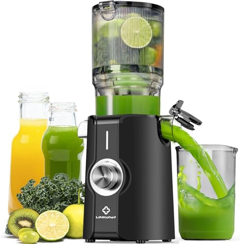 Linkchef Entsafter Slow Juicer Entsafter Gem Se Und