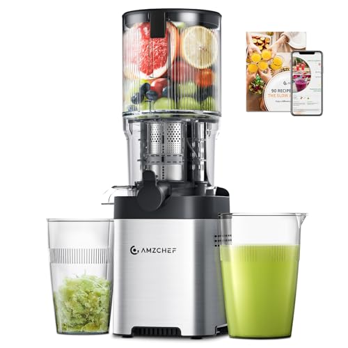 Amzchef Entsafter Slow Juicer Mit 135mm Breite Und