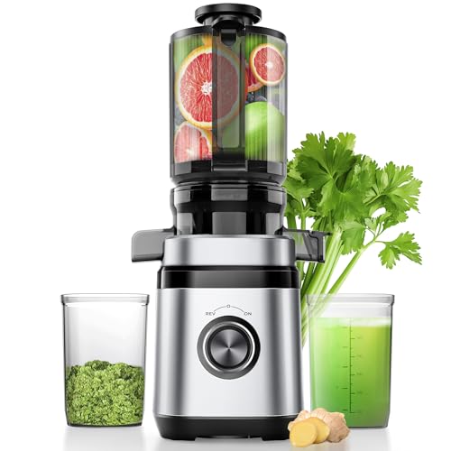 Entsafter Slow Juicer Entsafter Gem Se Und Obst