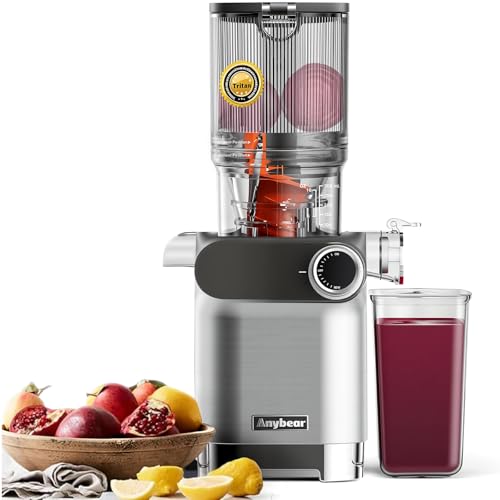 Anybear Entsafter 200w Slow Juicer Kaltentsafter Mit 110
