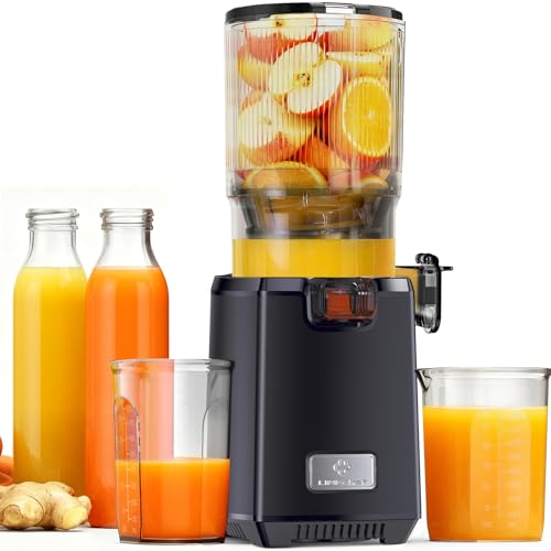 Linkchef Entsafter Slow Juicer 130 Mm Gro E