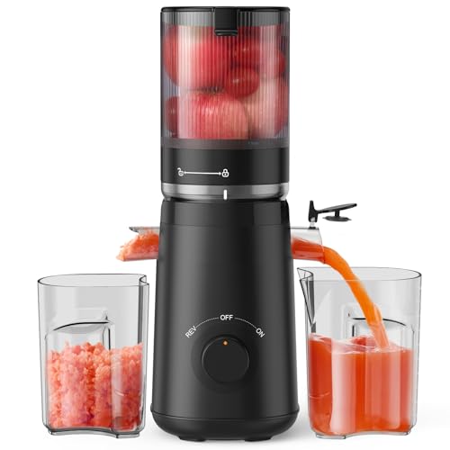 Tuumiist Entsafter Slow Juicer Mit 135mm Extra Gro